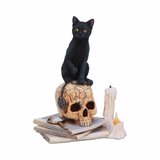 Statueta pisica neagra Spiritele din Salem 16cm